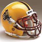 Sun Devils