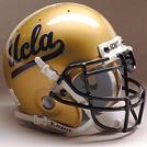 Bruins